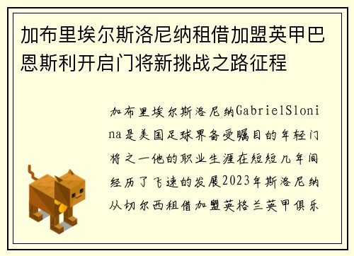 加布里埃尔斯洛尼纳租借加盟英甲巴恩斯利开启门将新挑战之路征程